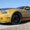 Ford Mustang Shelby GT640 "Golden Snake"